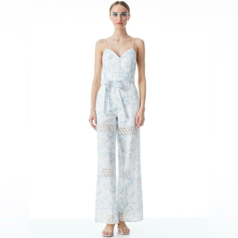 Alice + Olivia Shanti Printed Eyelet Jumpsuit (Size 6), Tags included